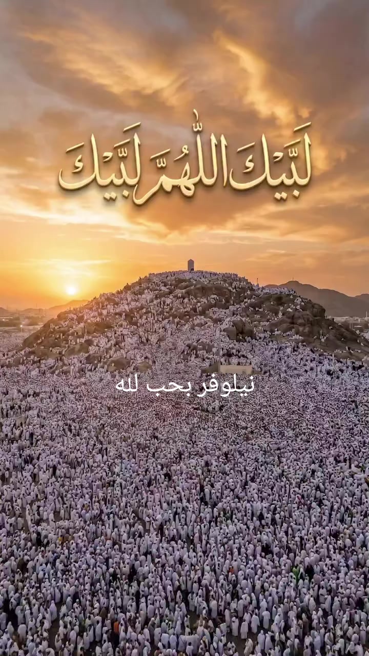 @نيلوفر