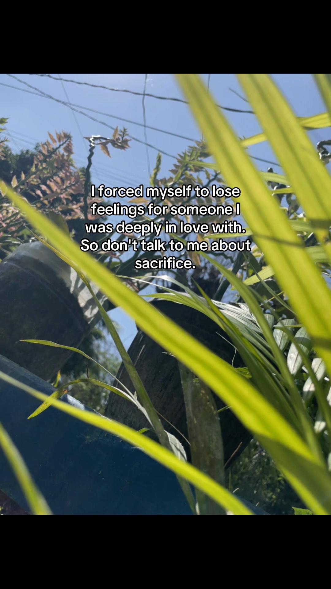 @MeowHaduken