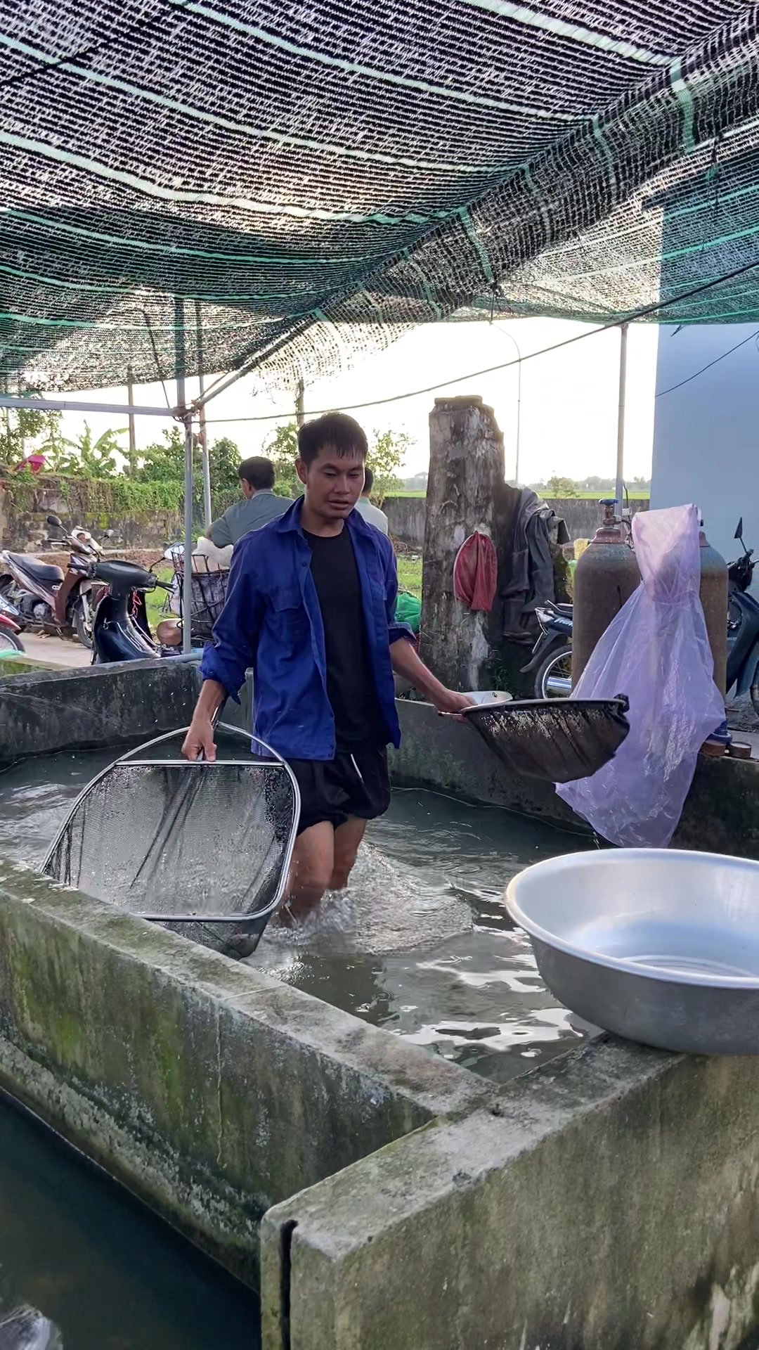 @Trại Cá Giống Quang Lâm