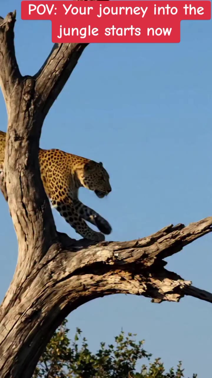 @Kalbas4x4Safaris