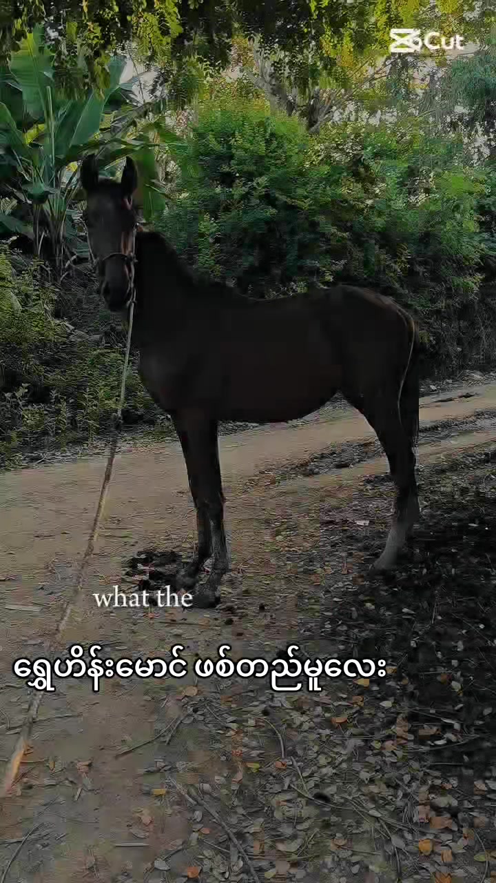 @๐๐๐ ๐๐๐๐ ๐๐๐๐โโ