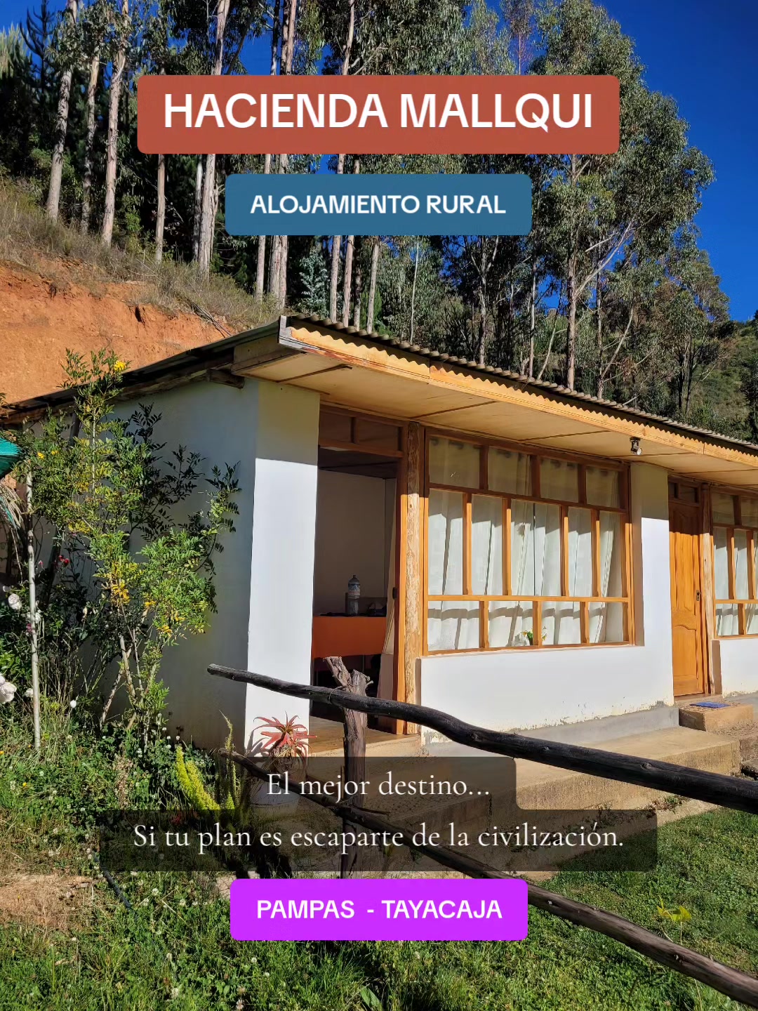 @CABAÑAS Mallqui