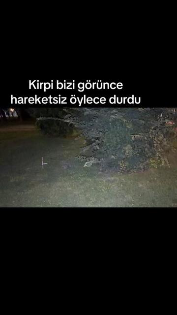 @K&Ouml;RFEZİN NABZI