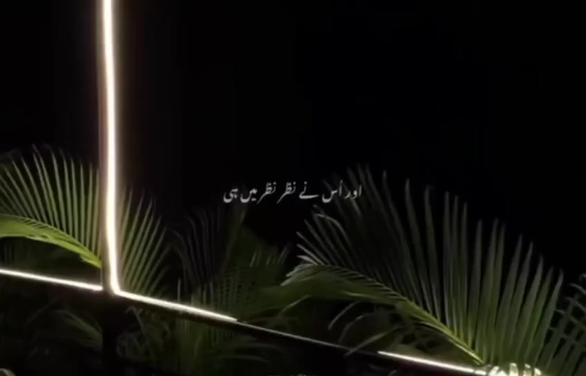 @میو محکمہ AFAQ💯✊