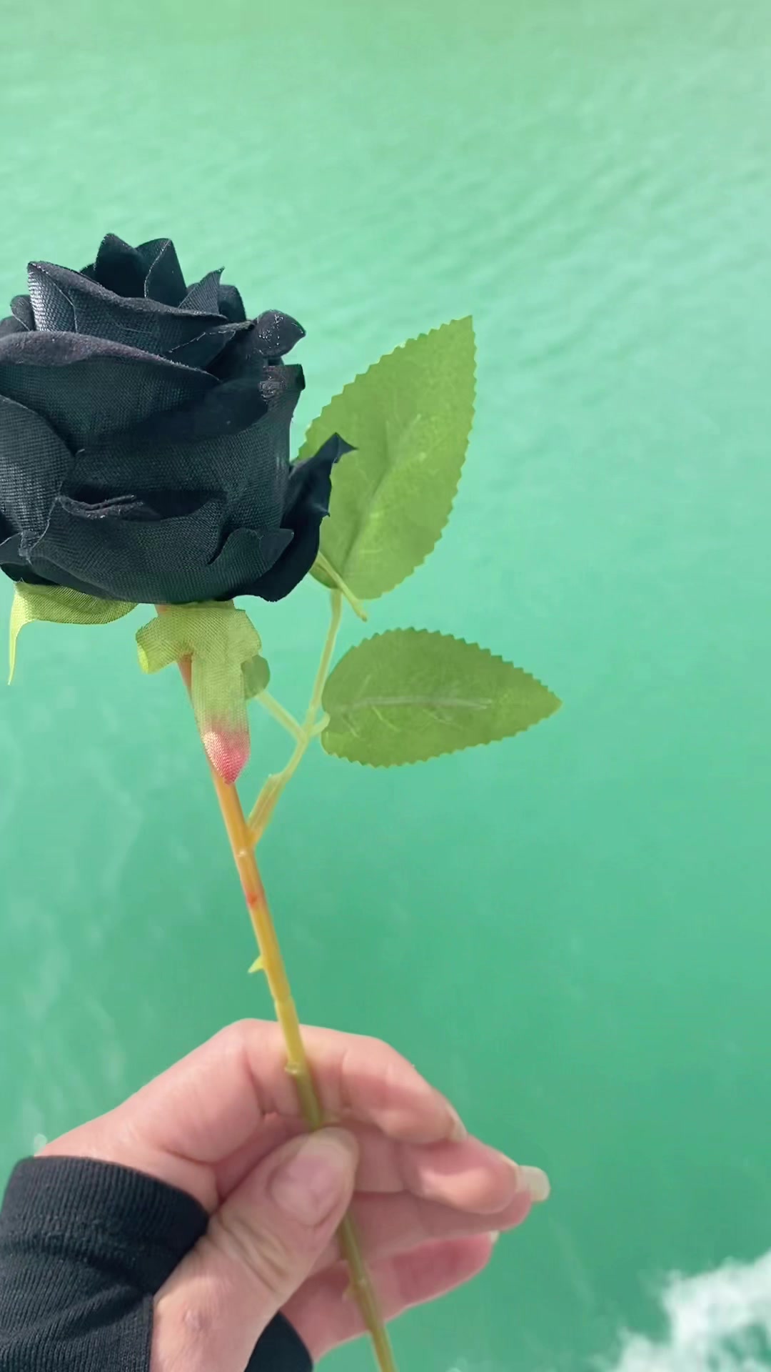 @Gamzeonal🍀