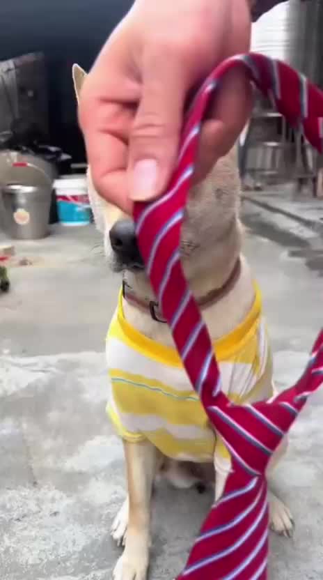 @Funny