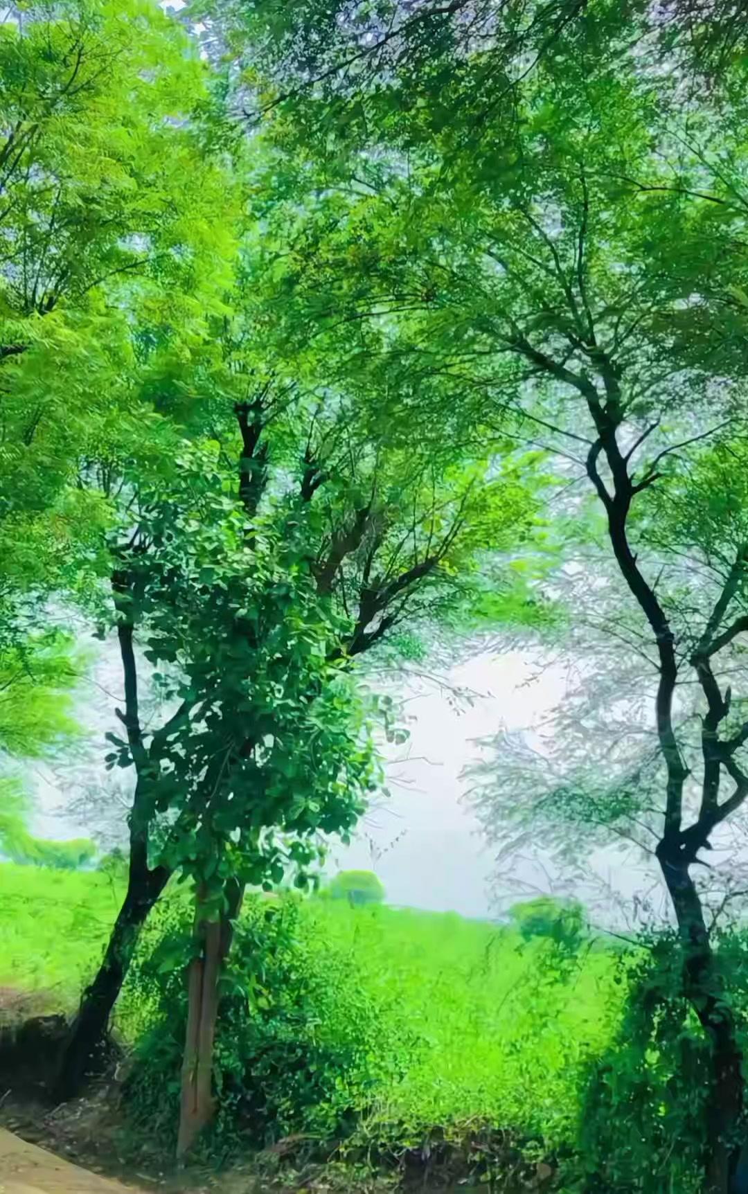 @👑  ViKRAM 👑 SAHAB🥀✌️👑