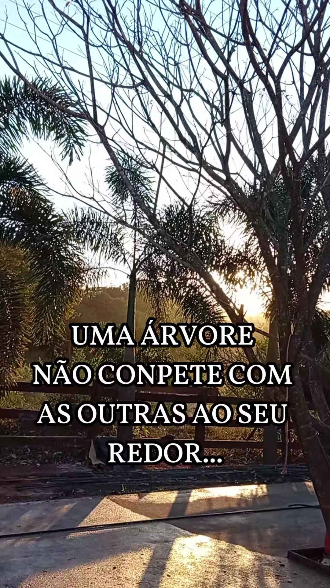 @Bel