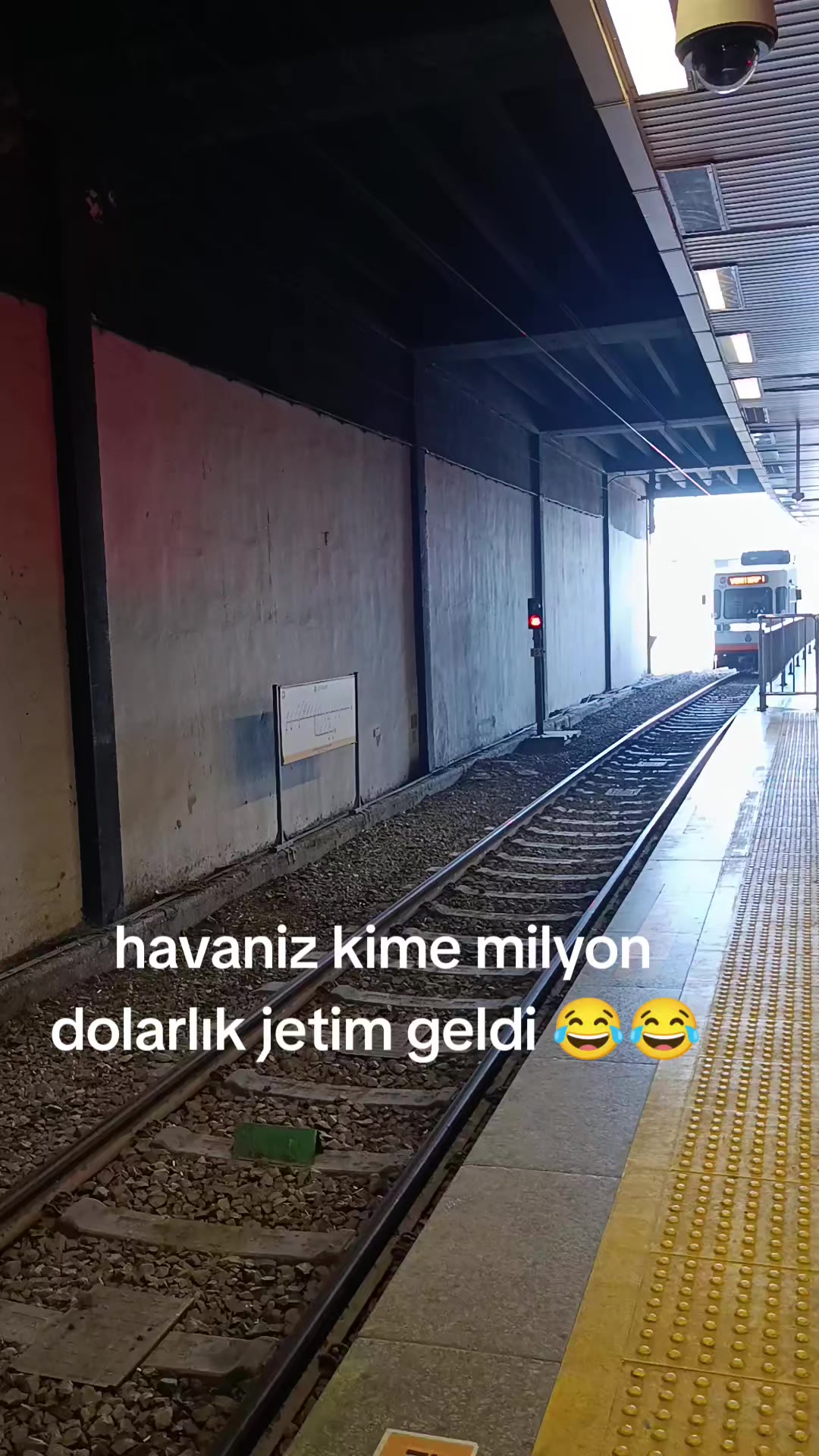 @🐨 🎀 𝓐𝔂 ışığı 34 🎀 🐨