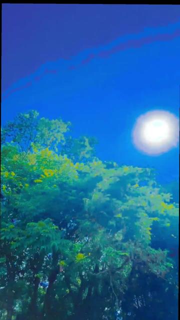 @__𝓣𝓴𝓭_𝓽𝓲𝓰𝓮𝓻_🪐🪐
