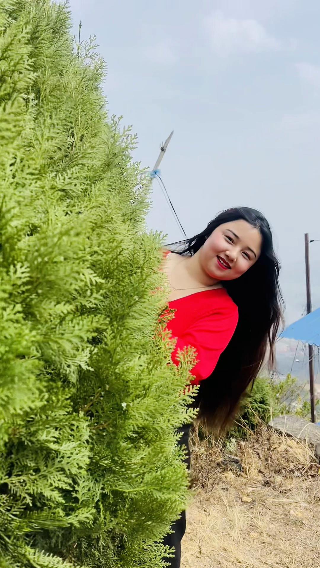 @alinalama