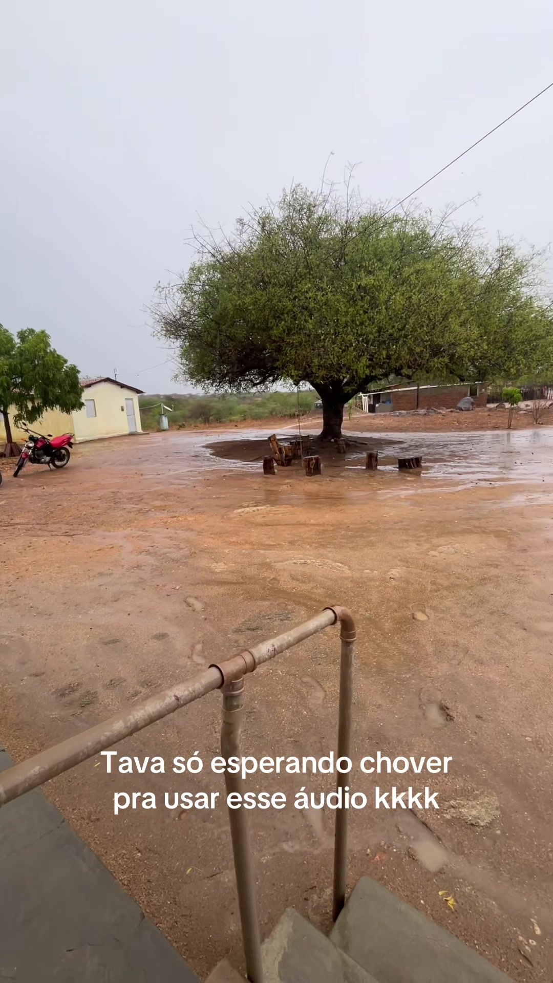 @Dry Almeida 🍇