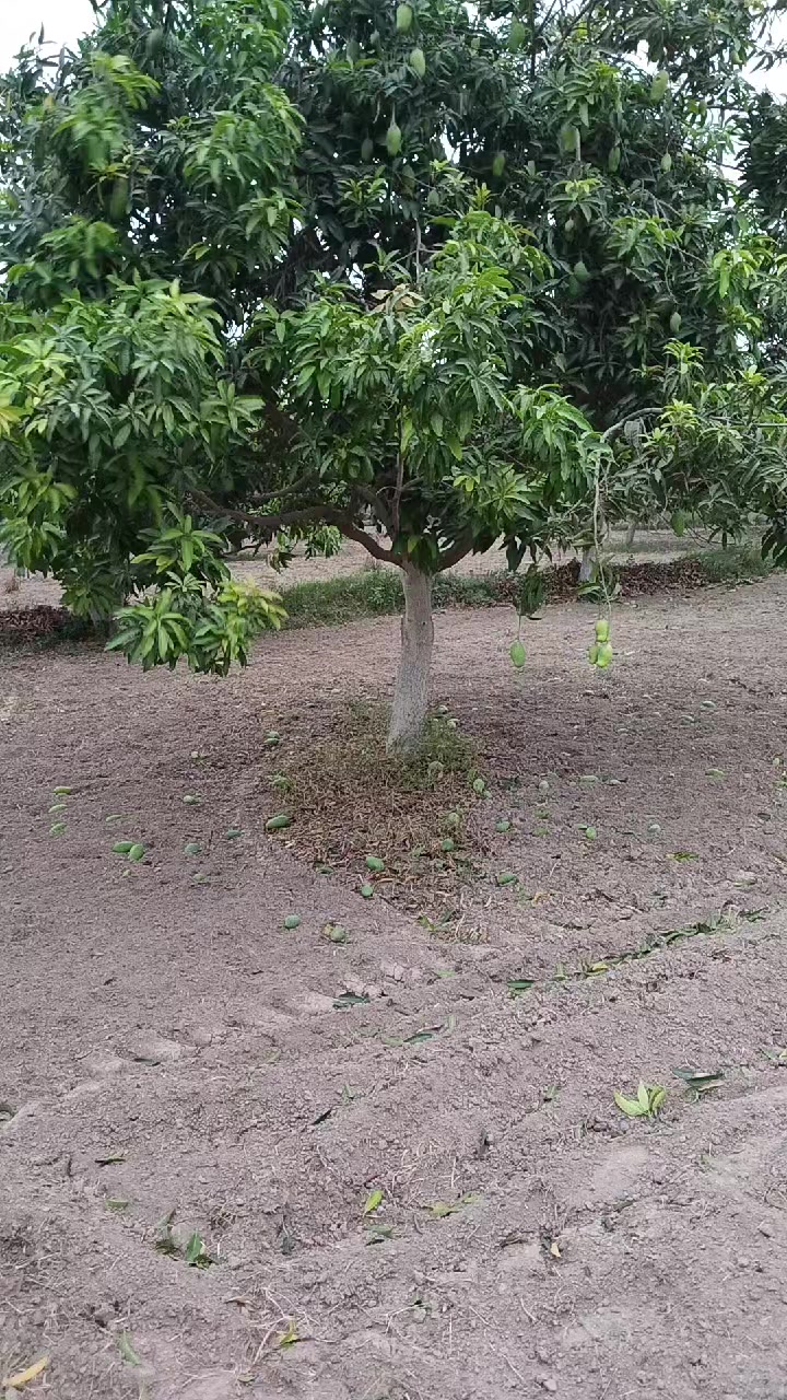 @Malik Bhai8423