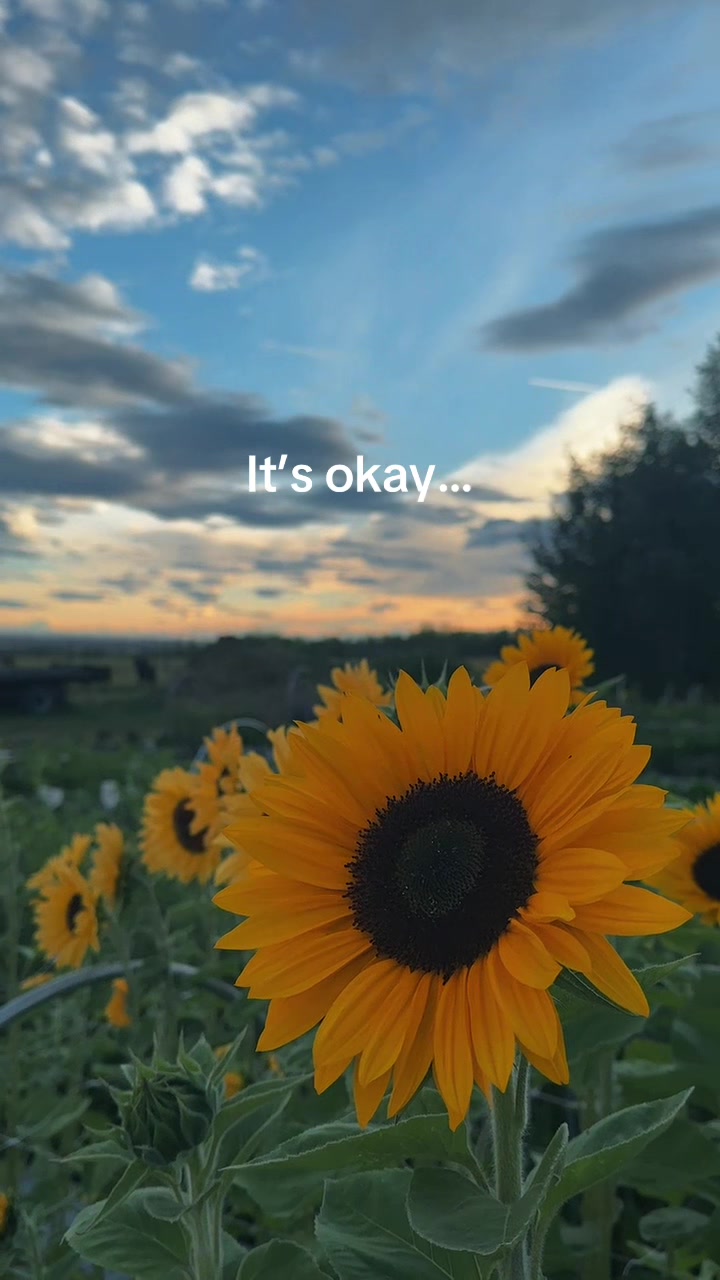@Jo🤍