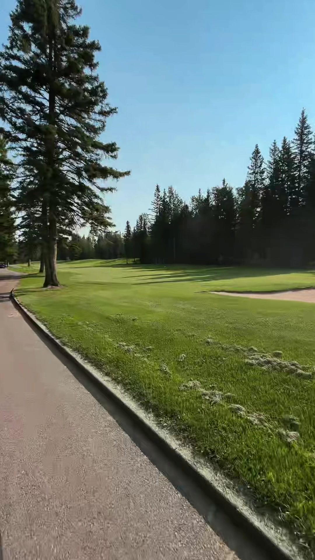 @GrumpyBear 🇨🇦