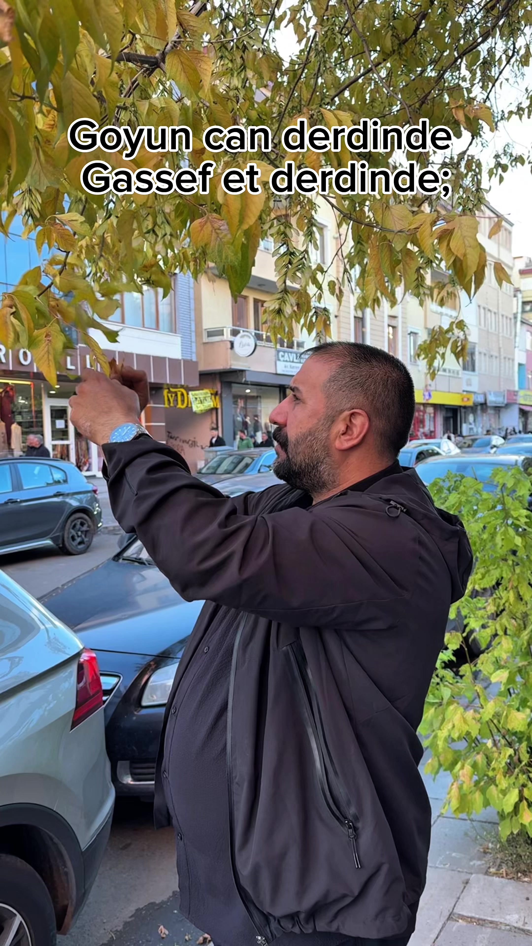 @Selçuk Daşdemir