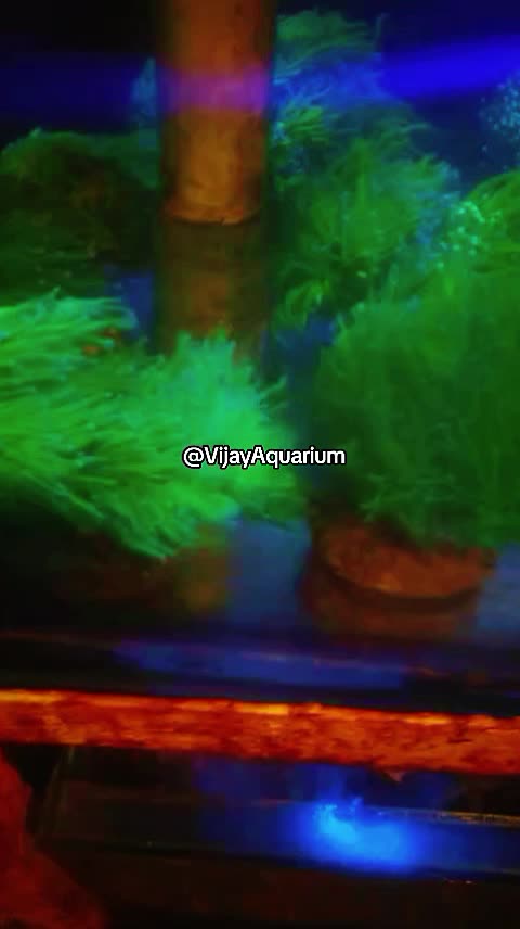 @Vijay Marine