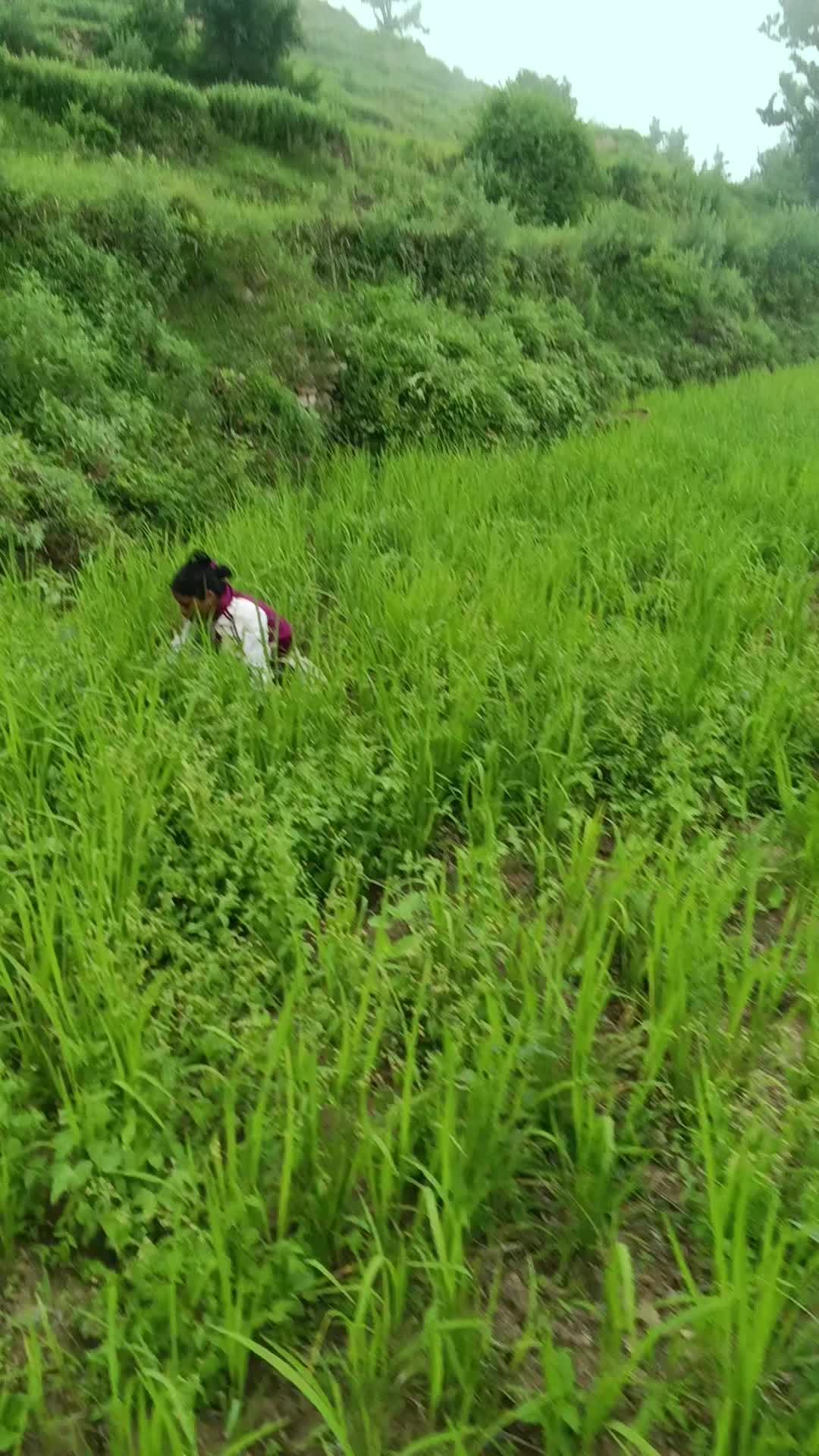 @꧁༒☬जिर बहादुर बुढा क्षेत्री☬༒꧂