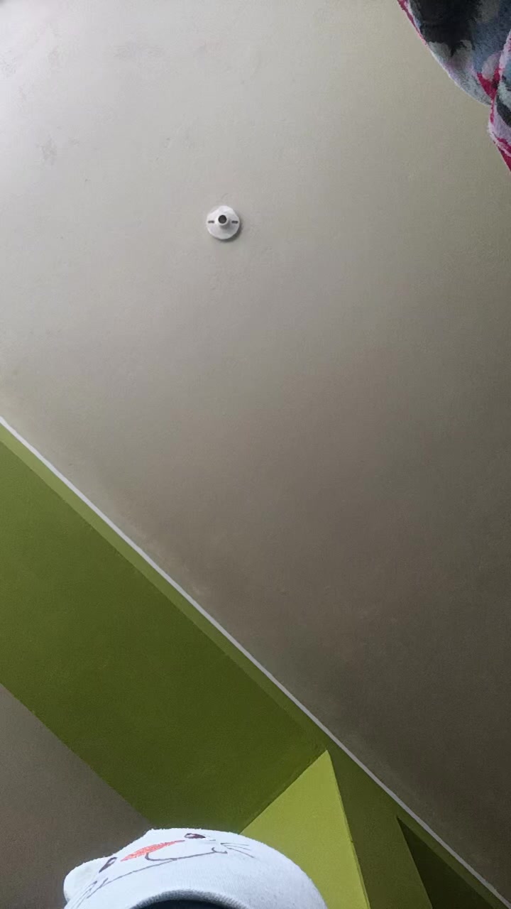 @EvaRut🌟🍀