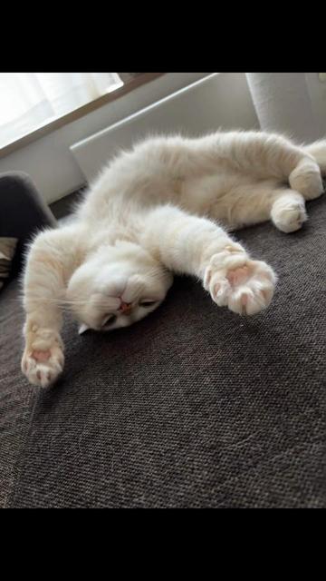 @みなチャン🐈⬛🐈
