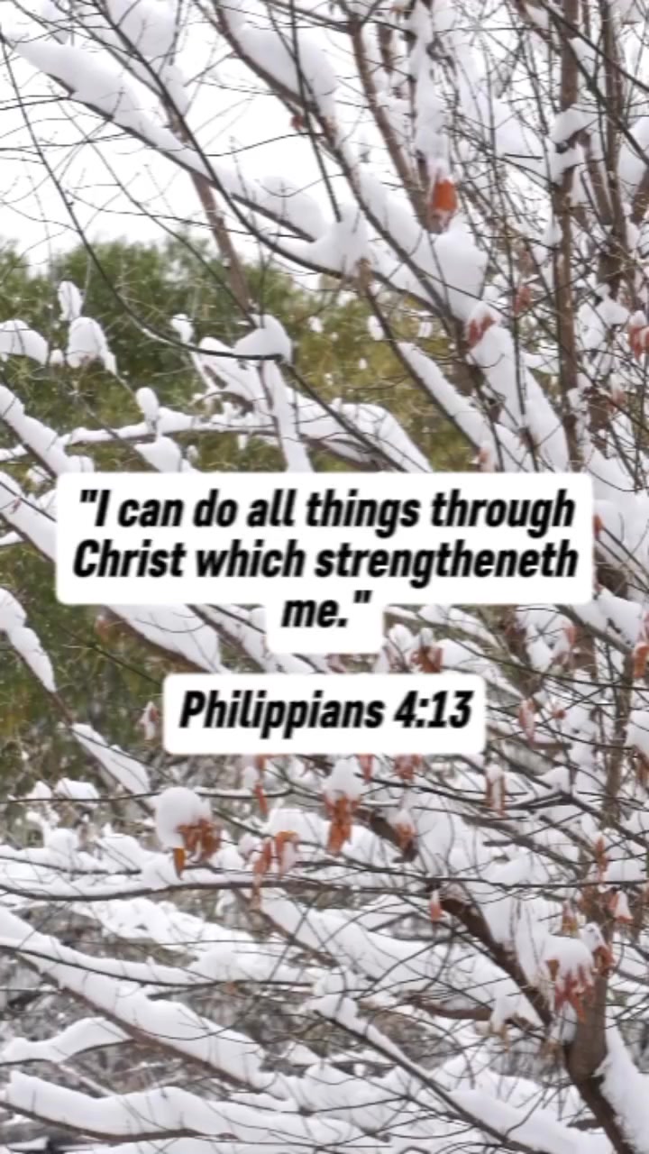 @Daily Bread Quotes