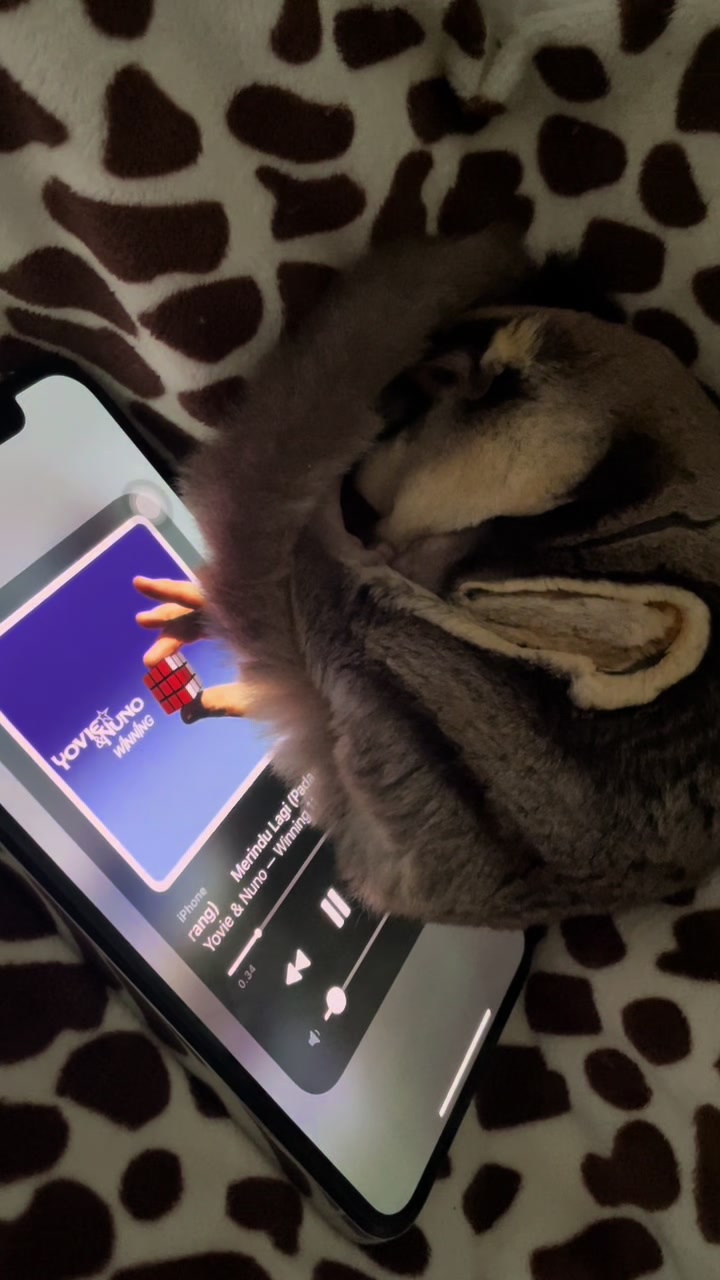 @Sadglider