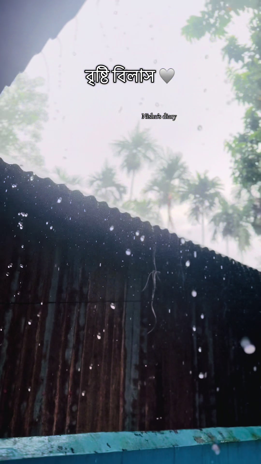@Nishu's Diary