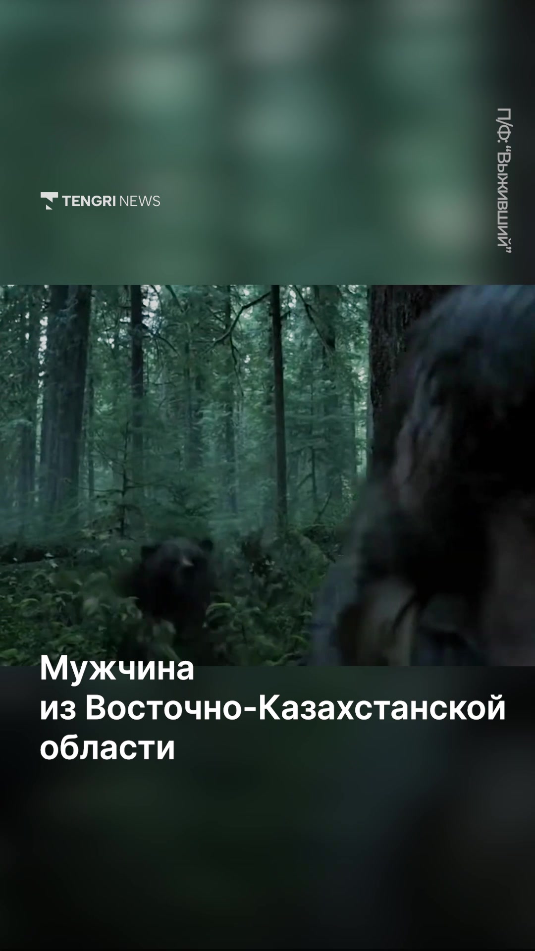 @Tengrinews.kz