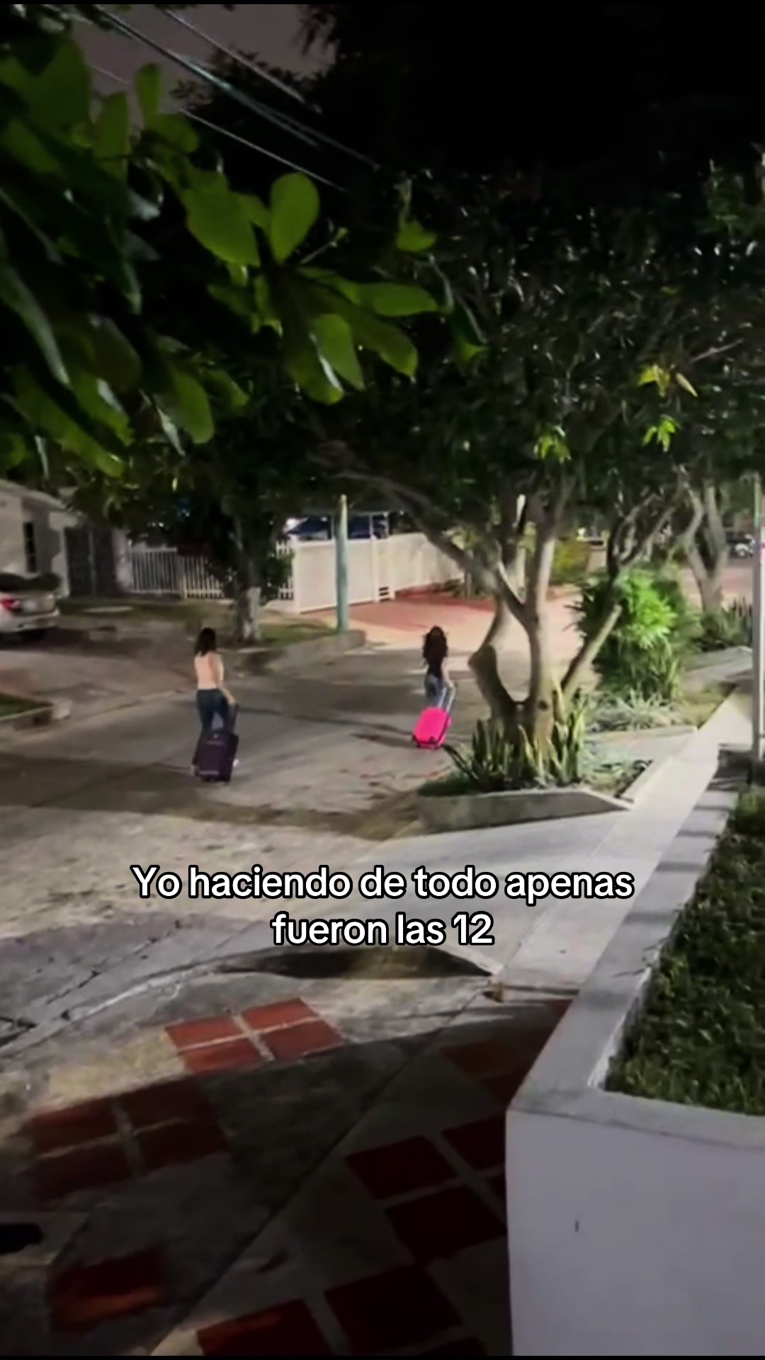 @dani