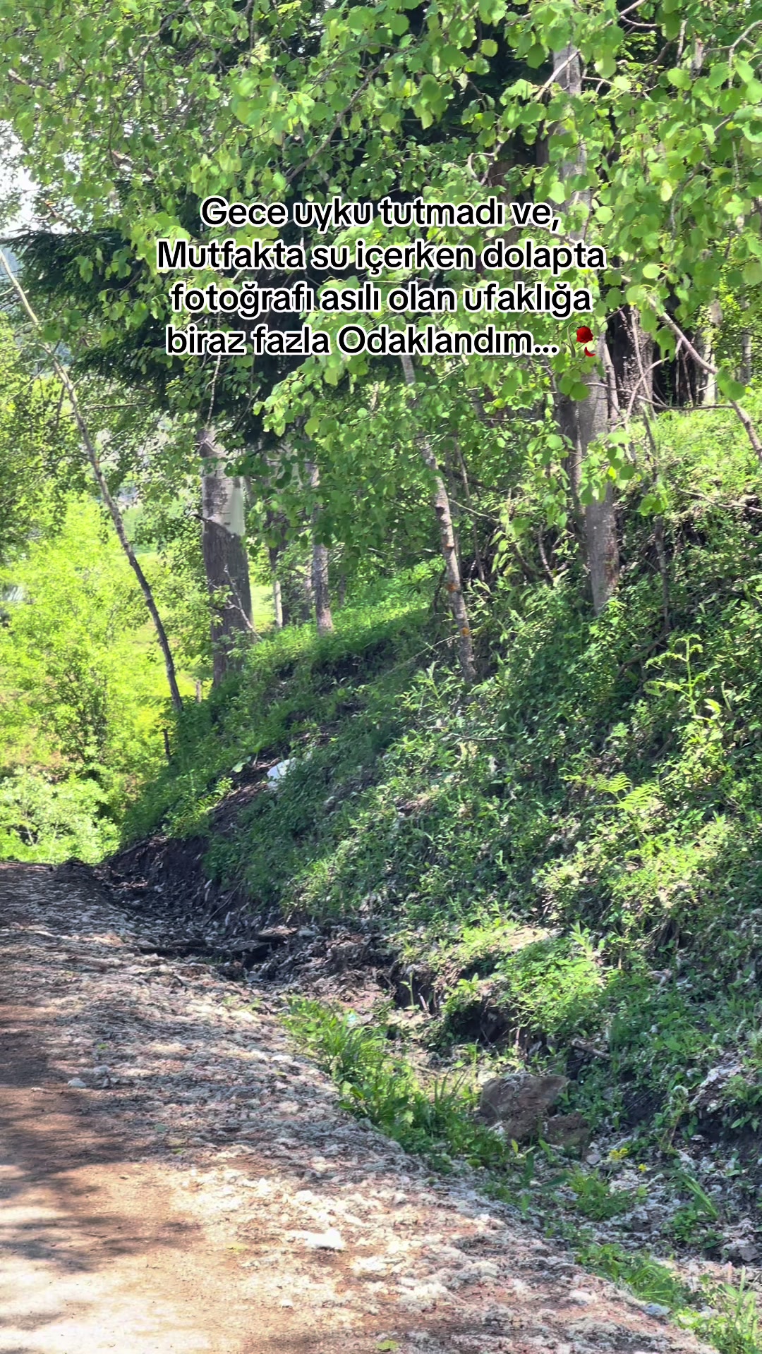 @Batuhan Gümüş