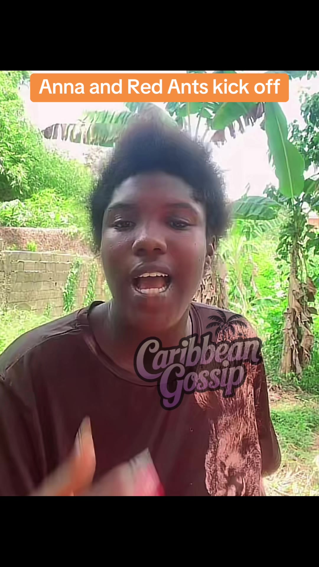 @✨Caribbean Gossip✨