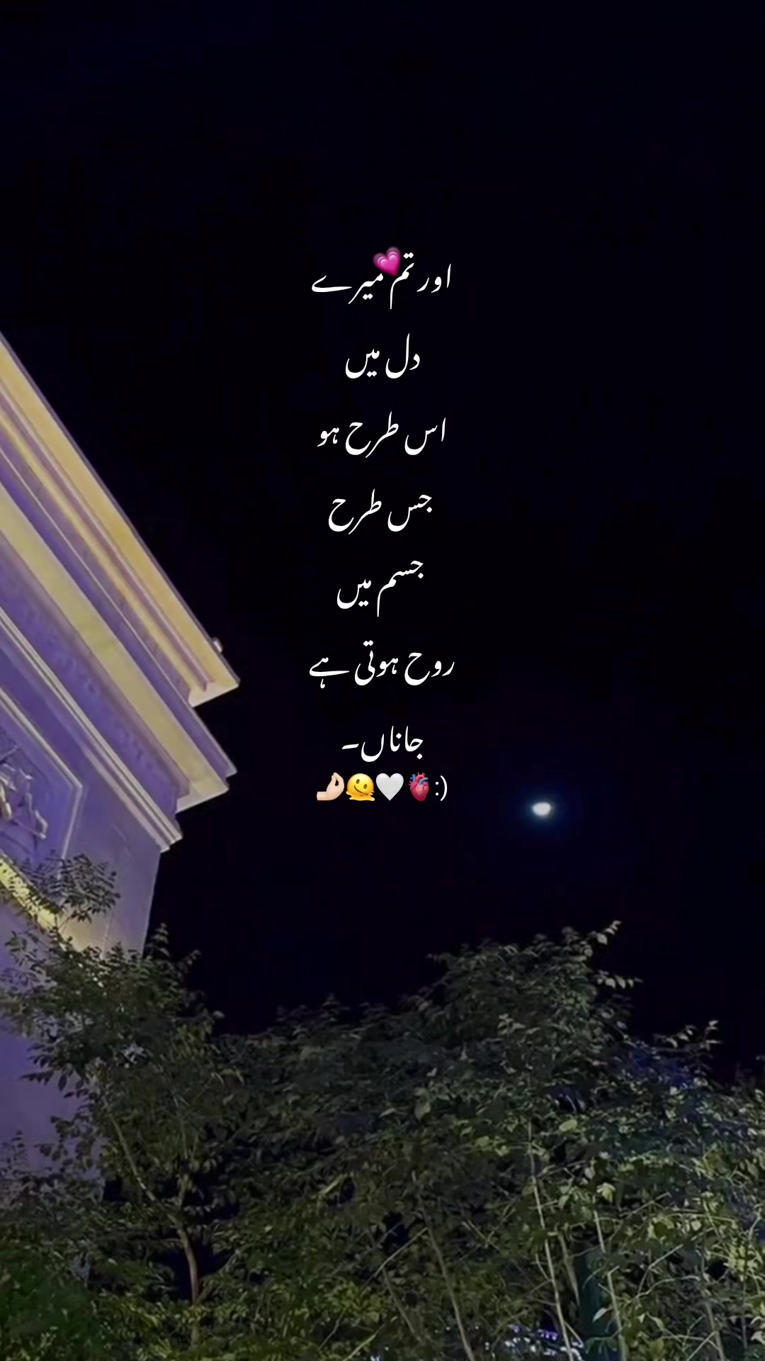 @๐ ๐ ๐ ๐ ๐ ๐ค๐ฅถโค