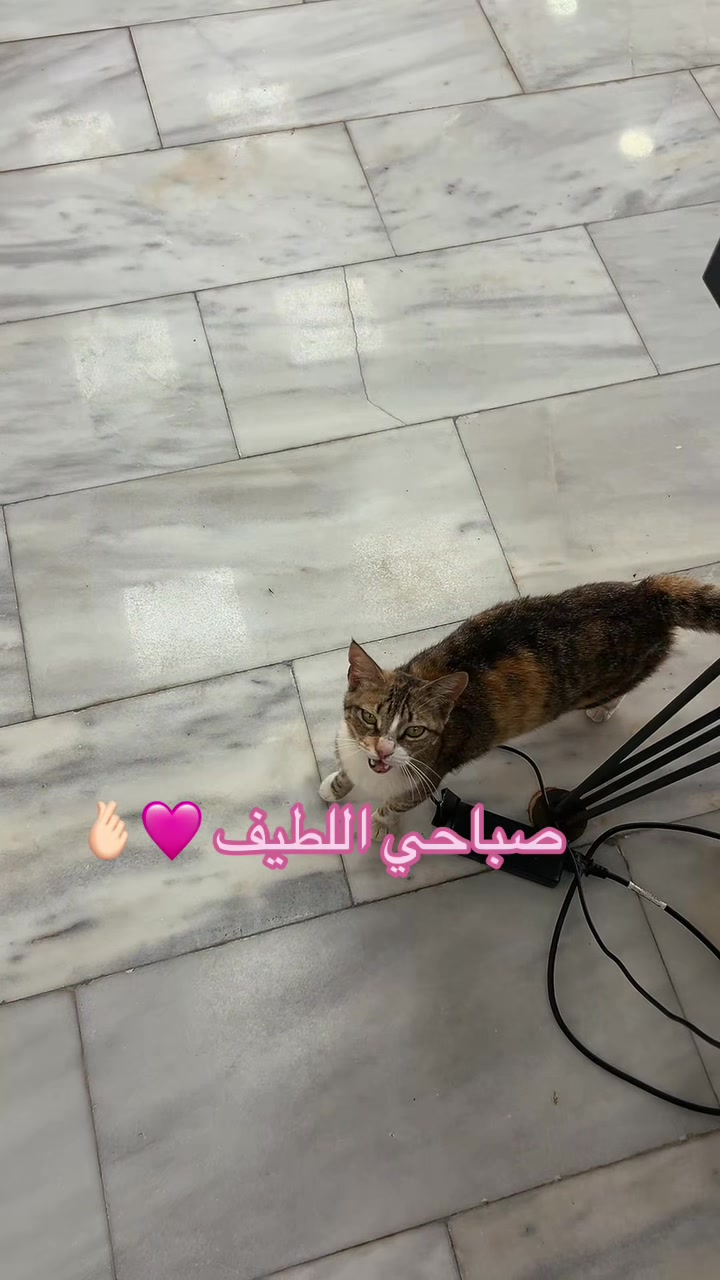 @Shayma HellCat