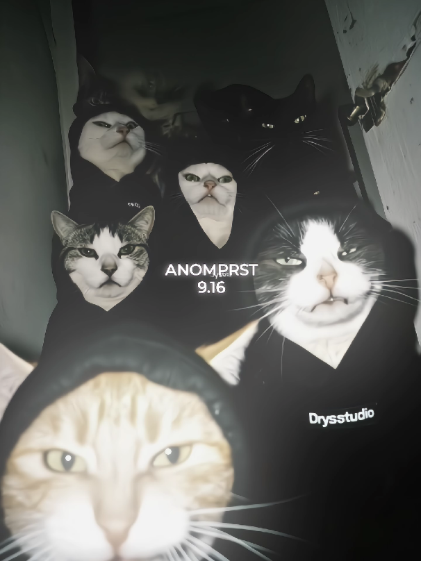 @𝙓𝙂𝙏 𝘼𝙣𝙤𝙢`𝖋𝖙 𝙆𝙂𝘼