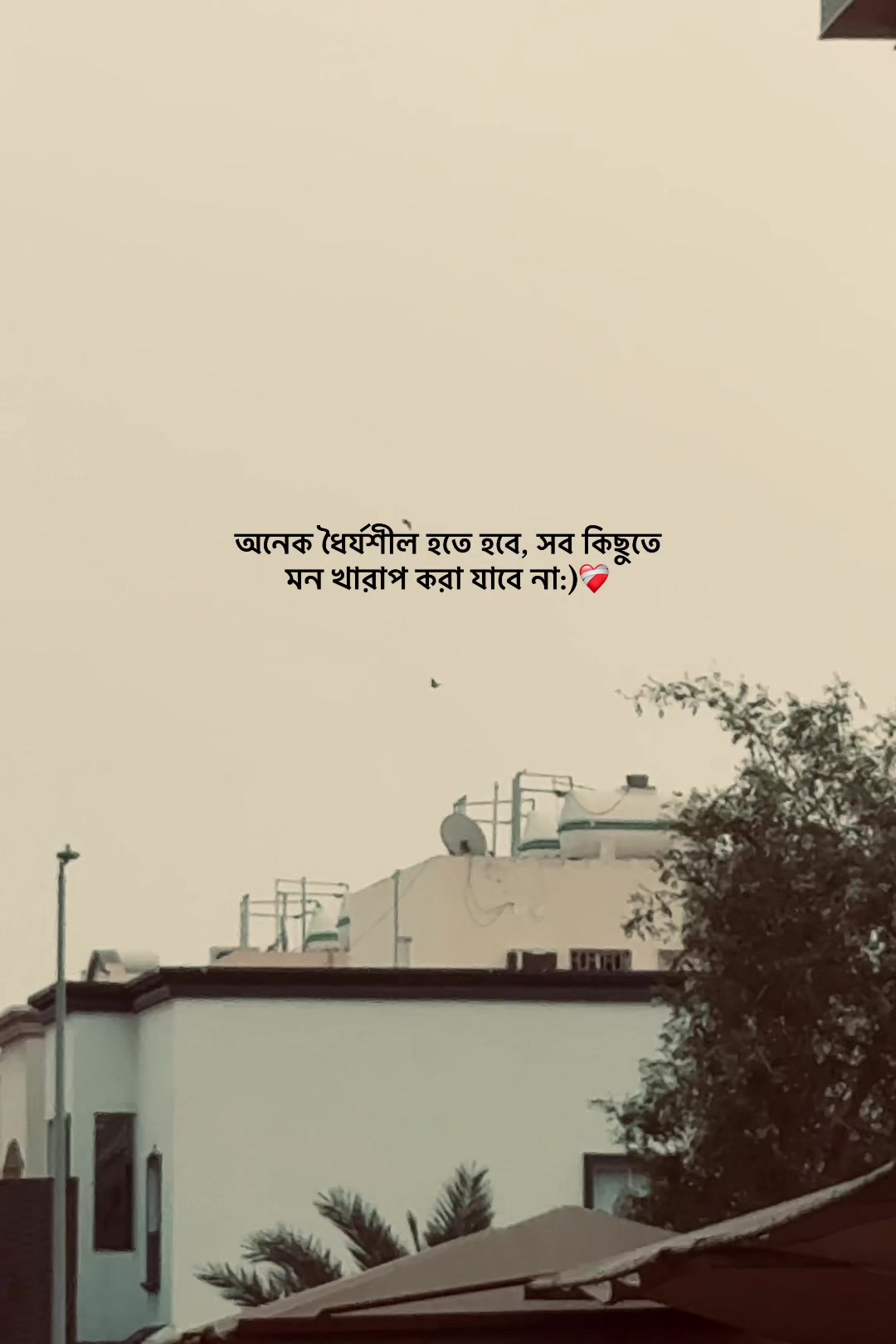 @𝐒𝐈 𝐘 𝐀𝐌 