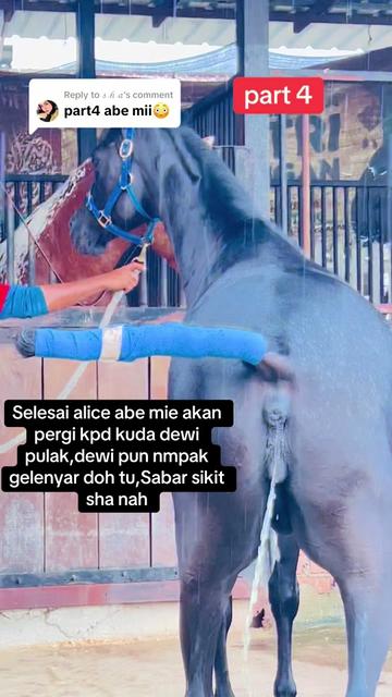 @Subdepo Arabian Park