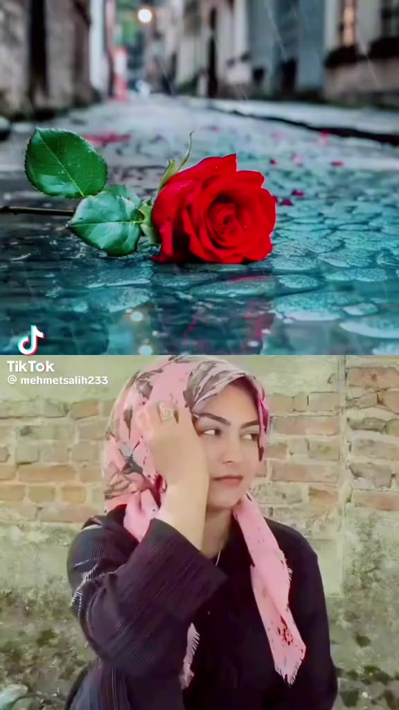@Kır papatyası 🌼💮🌸🍀🌹