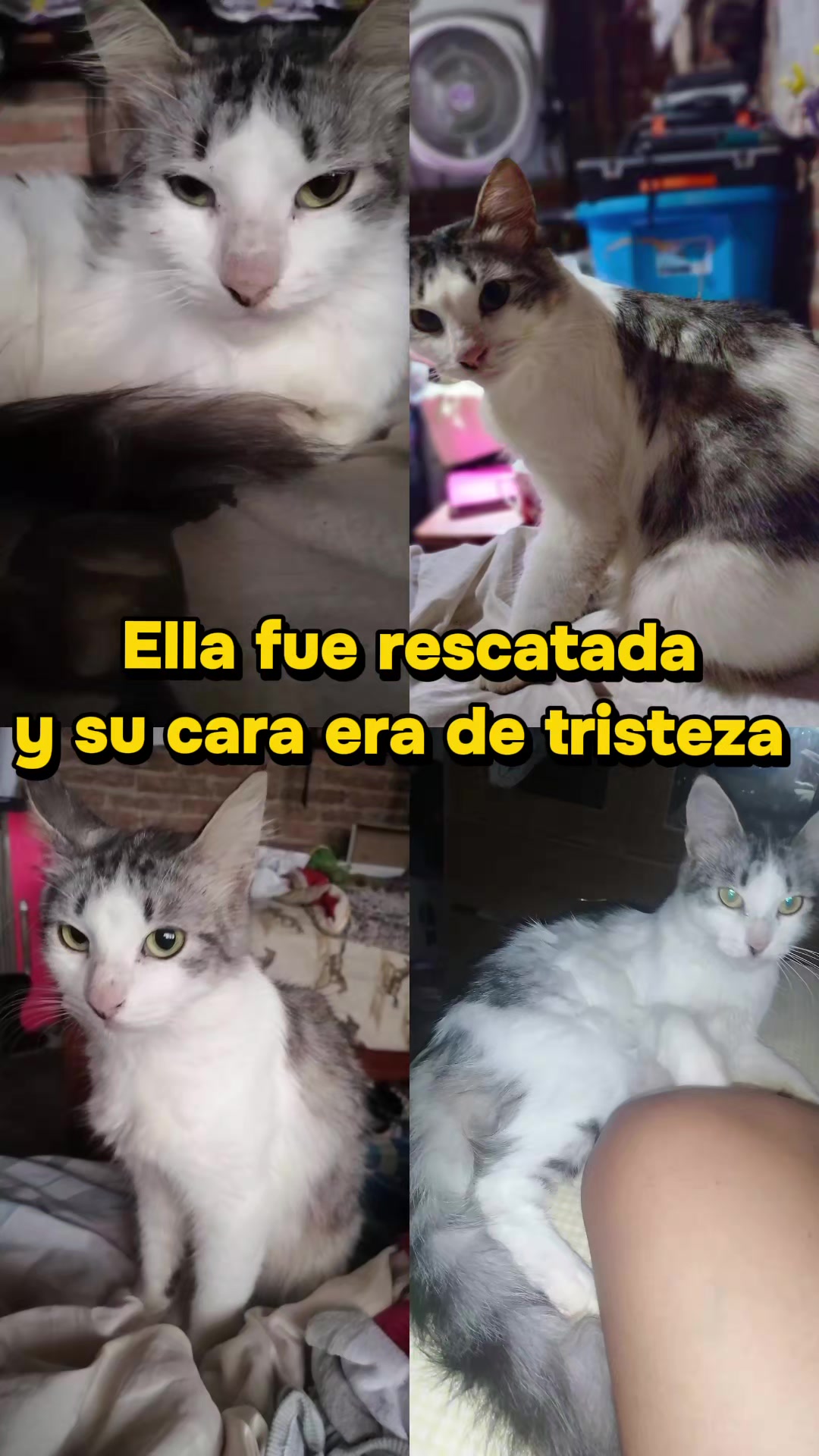 @Nel
