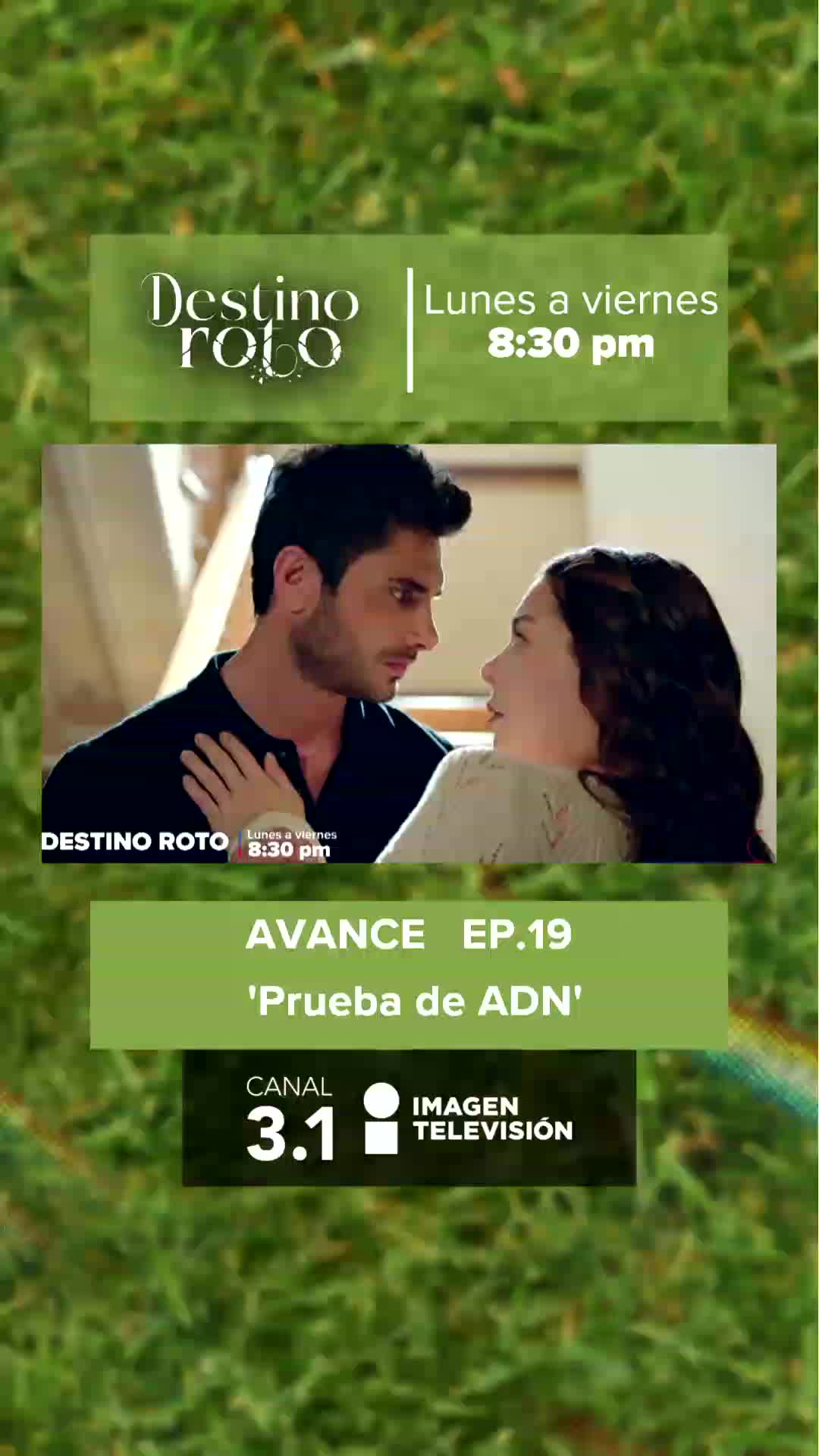 @Imagen Telenovelas