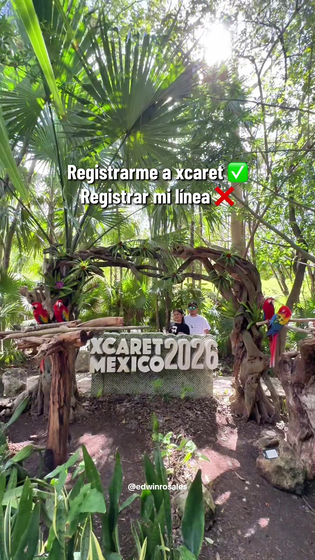 @Edwin Rosales 🇲🇽