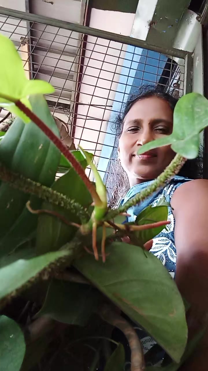 @Thilaka Weerasinghe