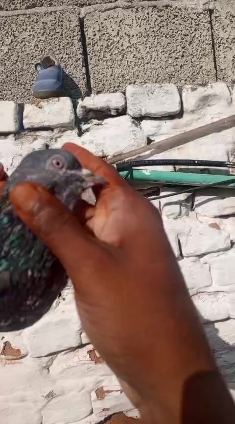 @Ali Raza