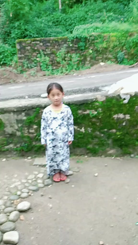 @maya