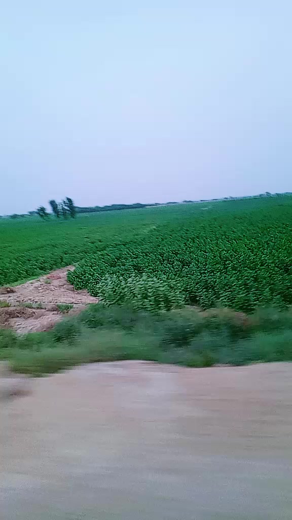 @Ali dost