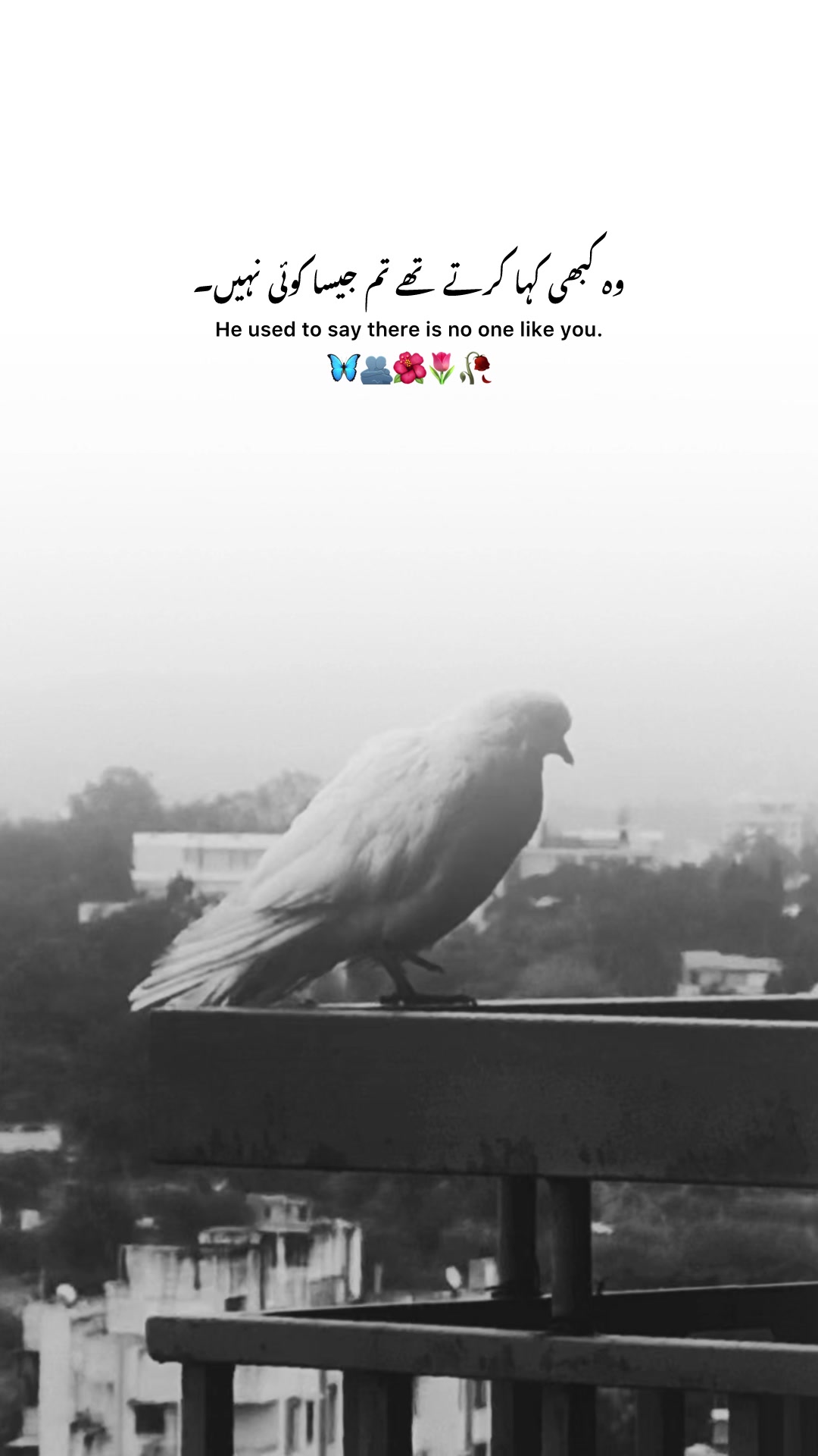 @꧁𝑴𒊹︎حT̷̫͉̰͕̒́∀᥅𝓐🄼꧂