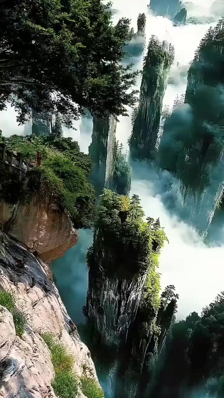 @Lionghoaho