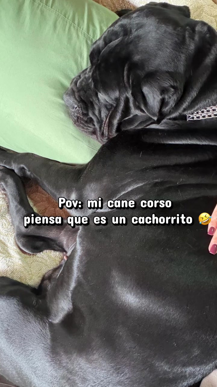 @Anto