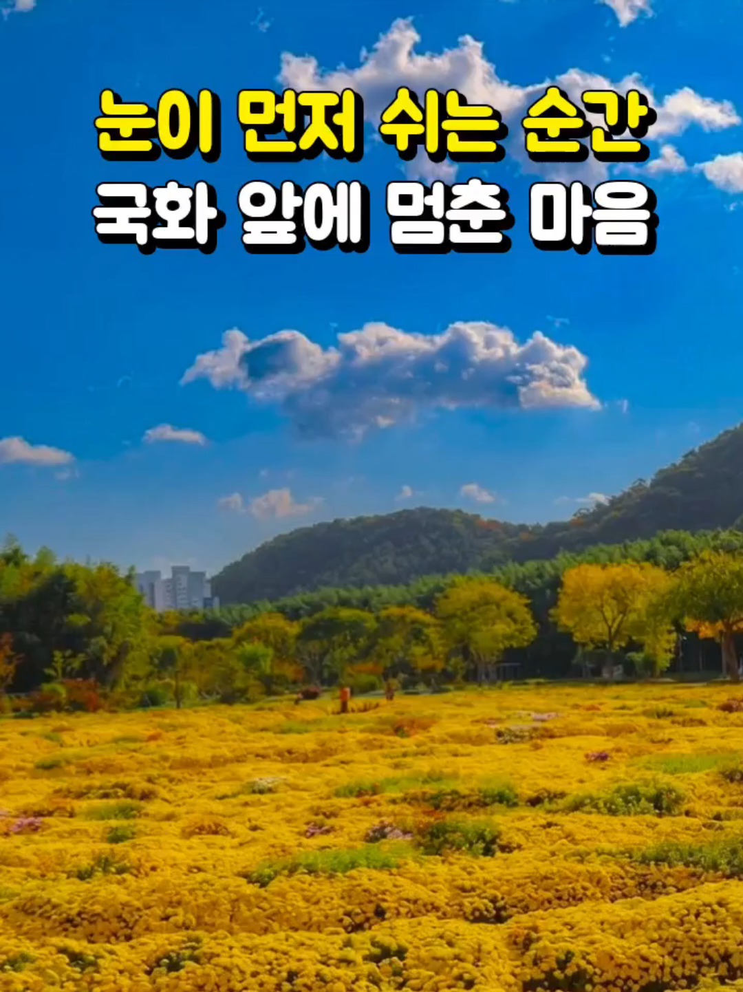 @예능대장
