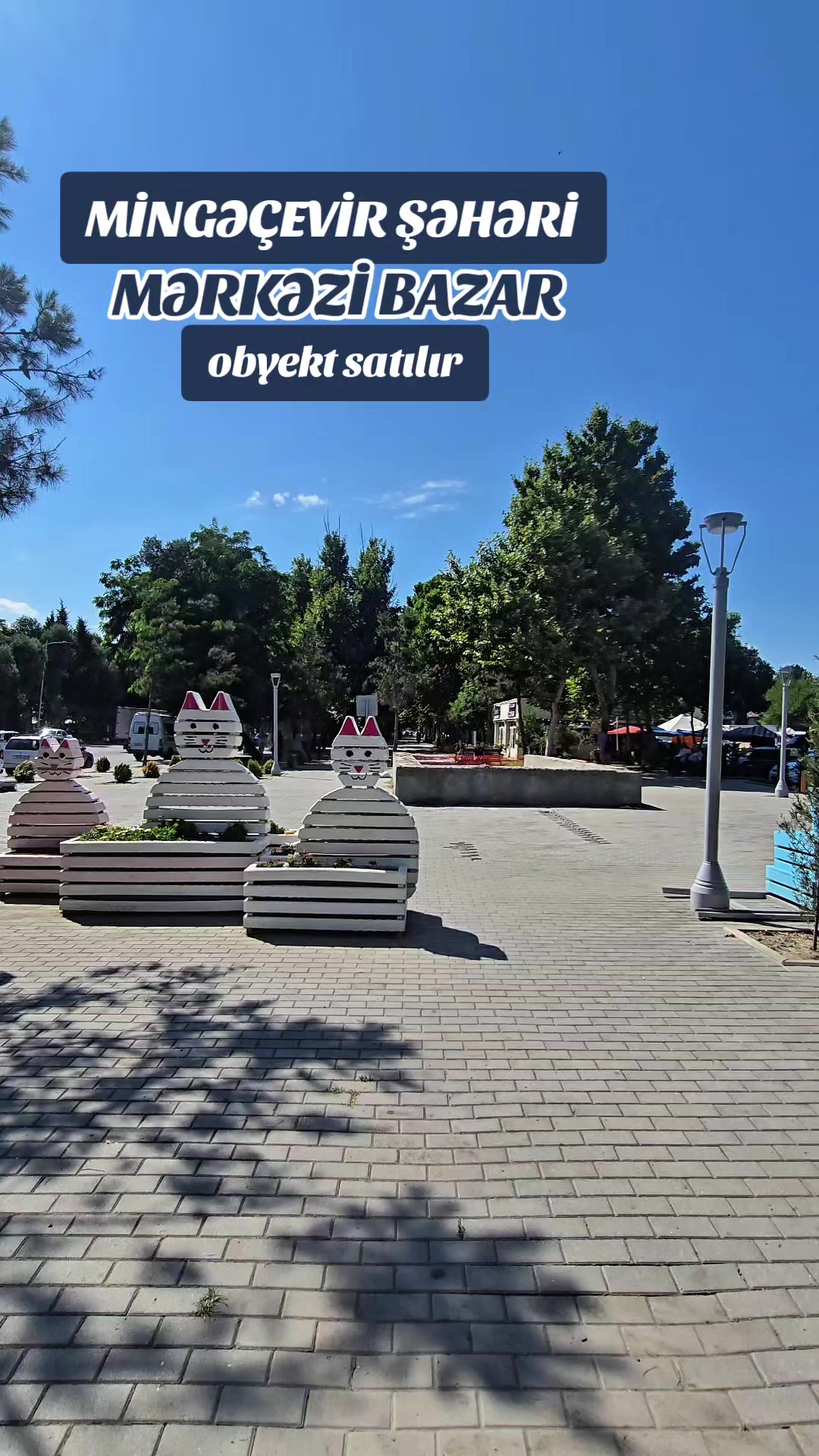 @SALƏDDİN BAXŞƏLİYEV