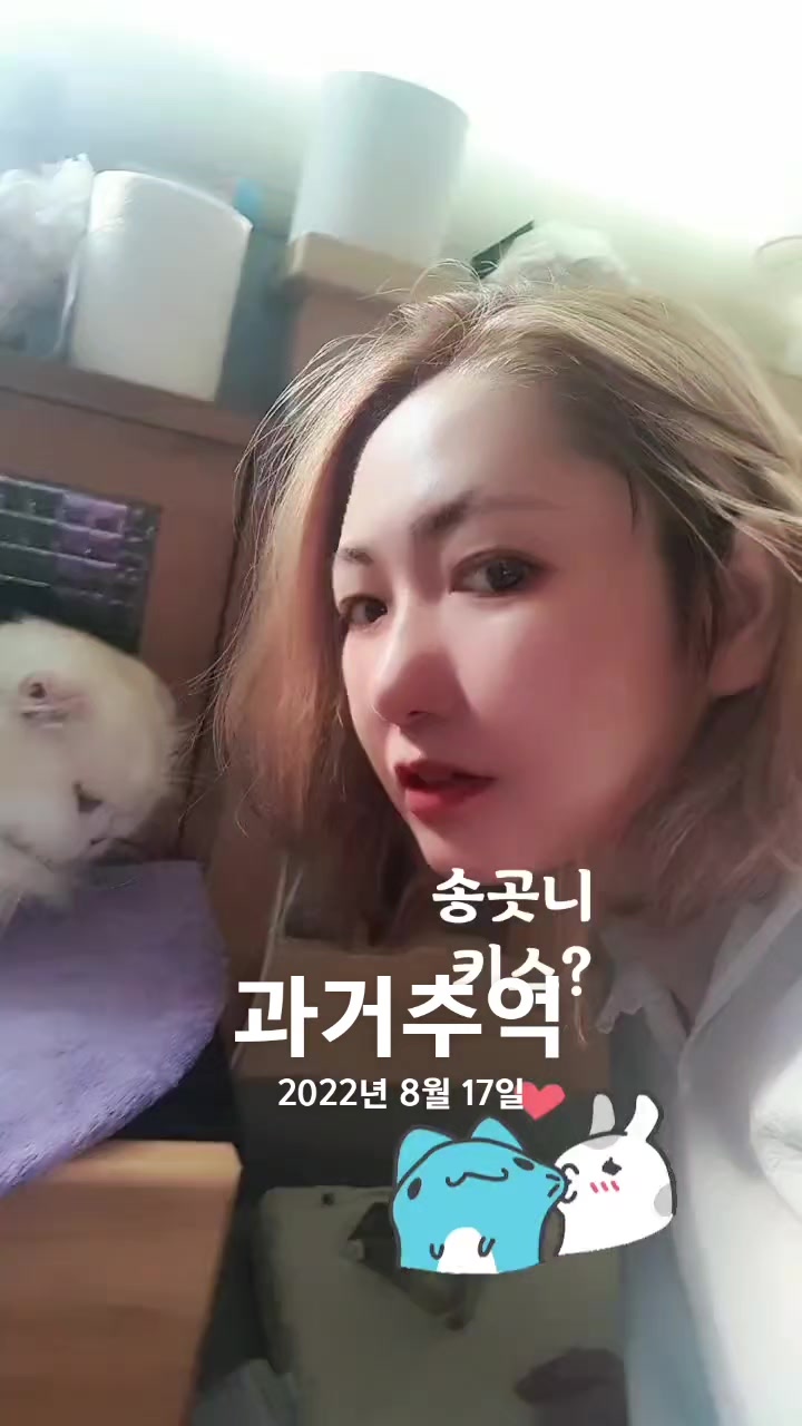 @👑마린블루J